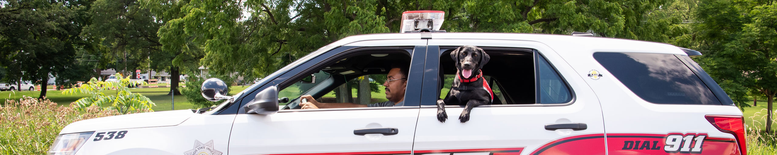 A police officer drives a cruiser while Pawfficer Sage rides in the back.